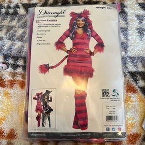 Cat in hat costume worn once!